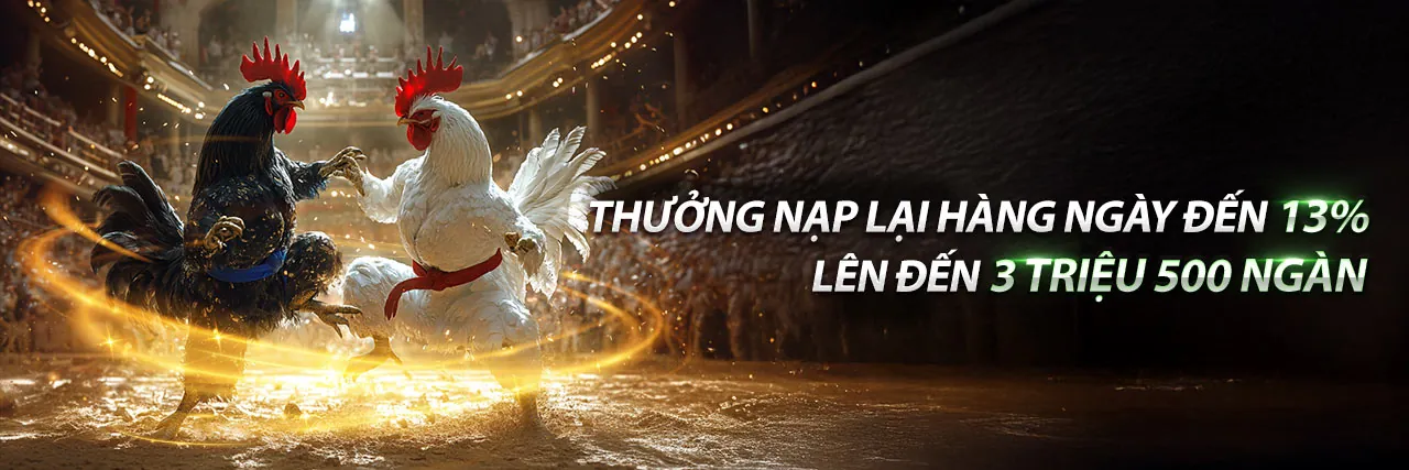 Đá gà trực tuyến 8swin chính thức với các trận đấu kịch tính